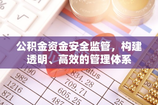 桥头公积金资金安全监管，构建透明、高效的管理体系