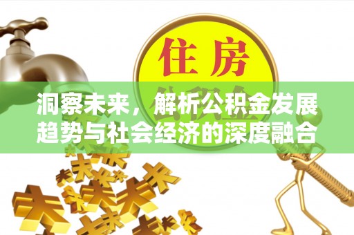 桥头洞察未来，解析公积金发展趋势与社会经济的深度融合