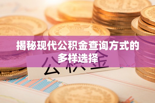 桥头揭秘现代公积金查询方式的多样选择