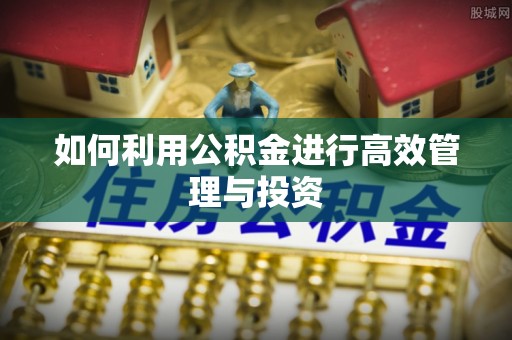桥头如何利用公积金进行高效管理与投资