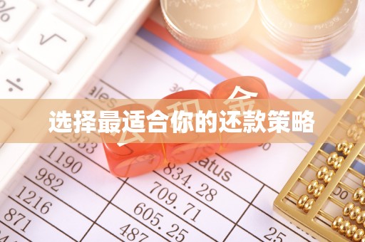 桥头选择最适合你的还款策略