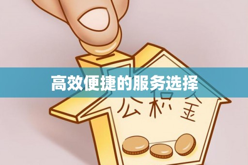 桥头高效便捷的服务选择